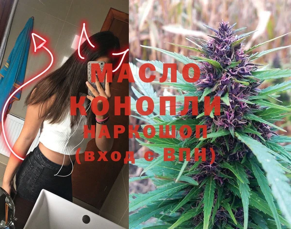 прущие грибы Михайлов